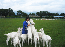 橋本 恵美